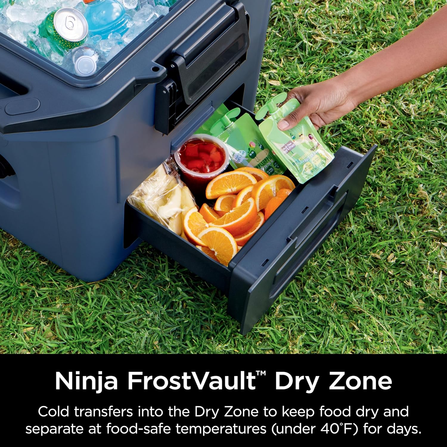 Ninja FrostVault 30qt Hard Cooler Lakeshore Blue FB131BL