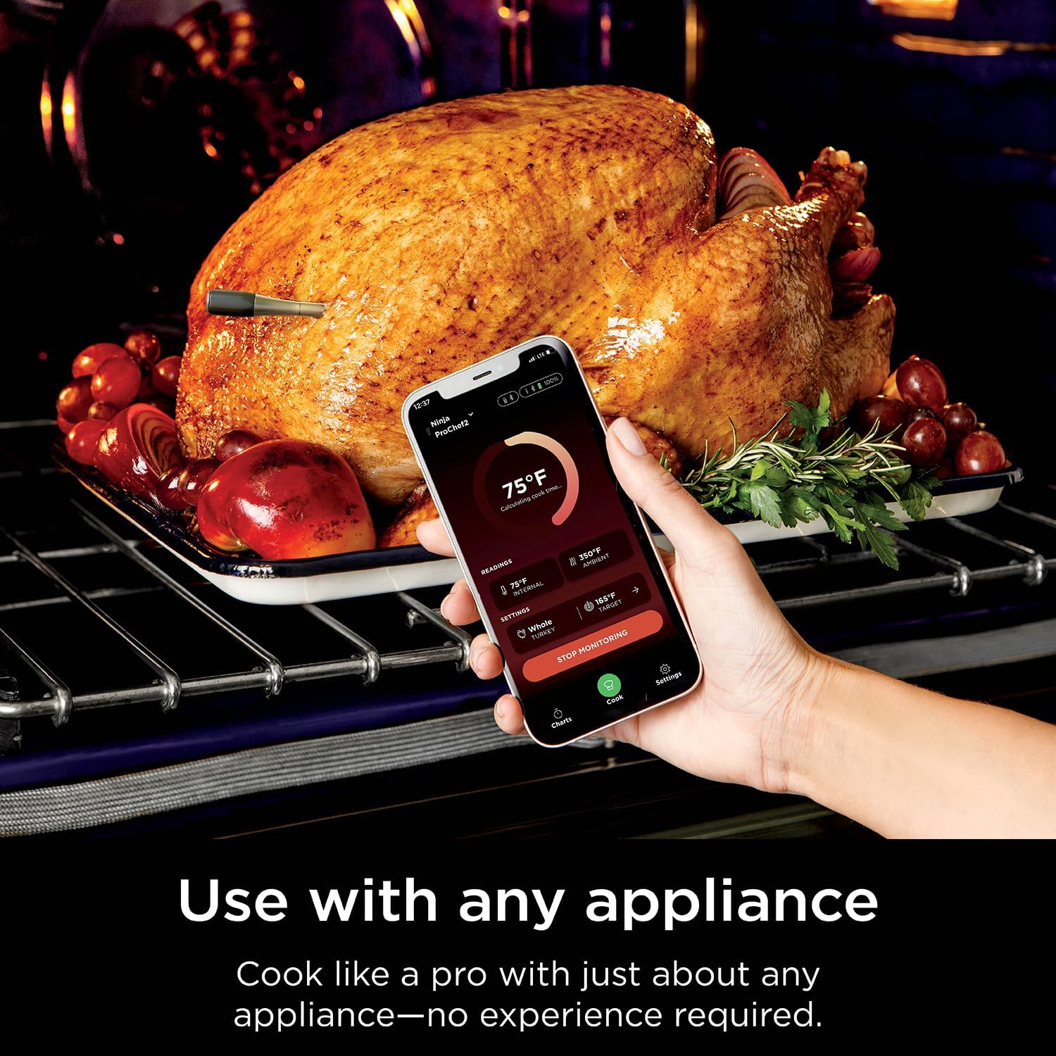 Ninja ProChef Wireless Meat Thermometer Waterproof, WP100