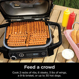 Ninja Woodfire 7-in-1 Outdoor Grill OG701